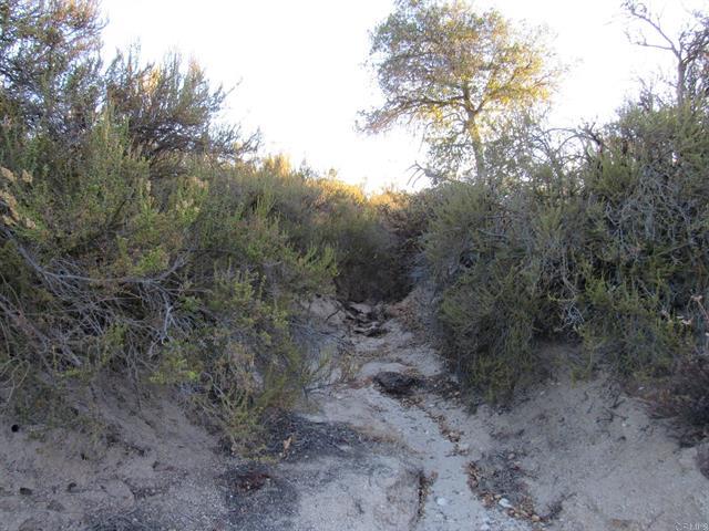 109.57 Acres Hwy 94
