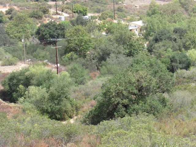 15.93 Acres Hwy 94