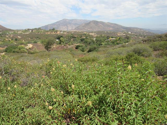 15.93 Acres Hwy 94