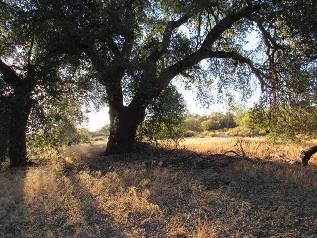 153.21 Acres Old 80 and Hwy 94