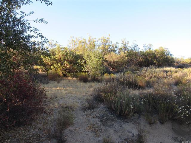 153.21 Acres Old 80 and Hwy 94