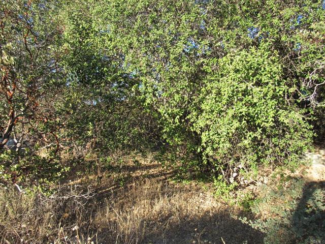 153.21 Acres Old 80 and Hwy 94