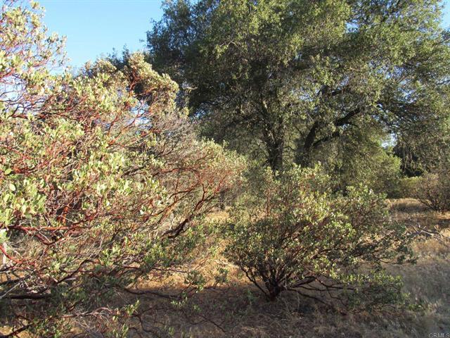 153.21 Acres Old 80 and Hwy 94