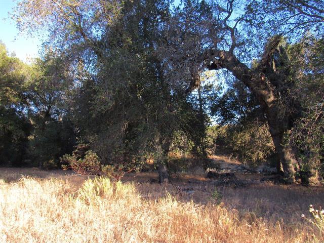 153.21 Acres Old 80 and Hwy 94