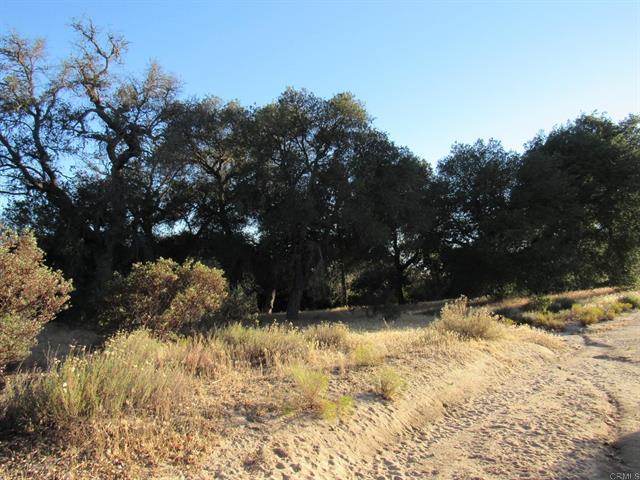 153.21 Acres Old 80 and Hwy 94
