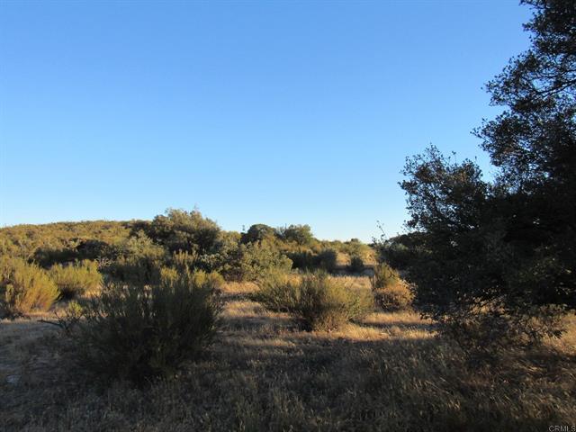 153.21 Acres Old 80 and Hwy 94