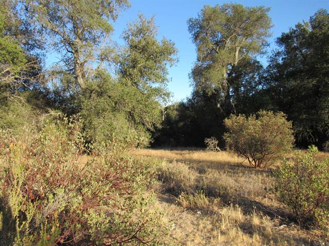 153.21 Acres Old 80 and Hwy 94