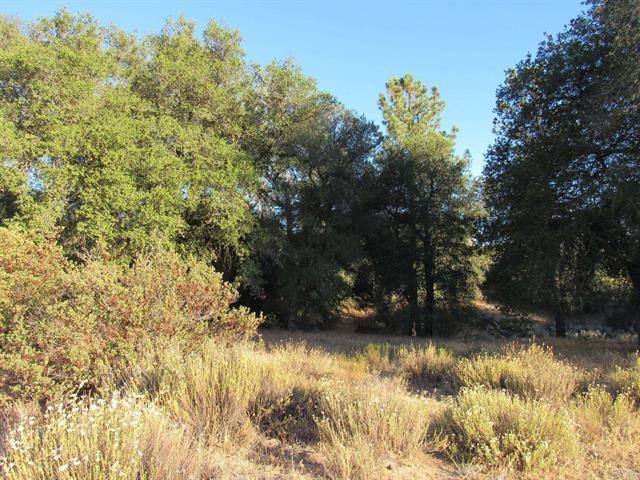153.21 Acres Old 80 and Hwy 94