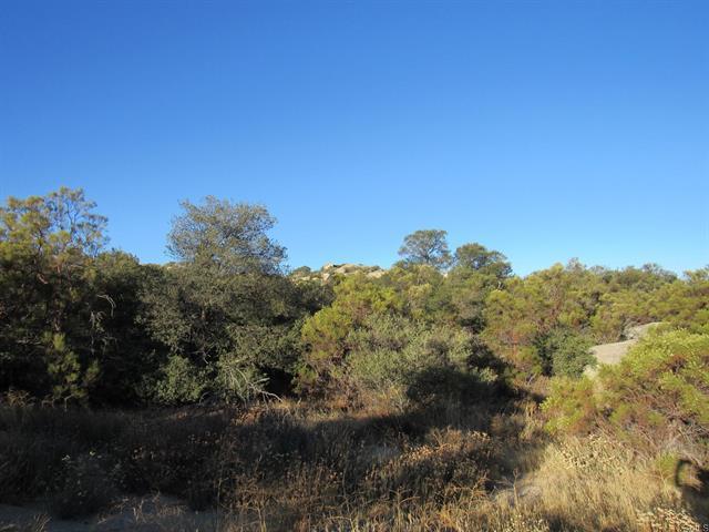 29.77 ACRES Old Highway 80