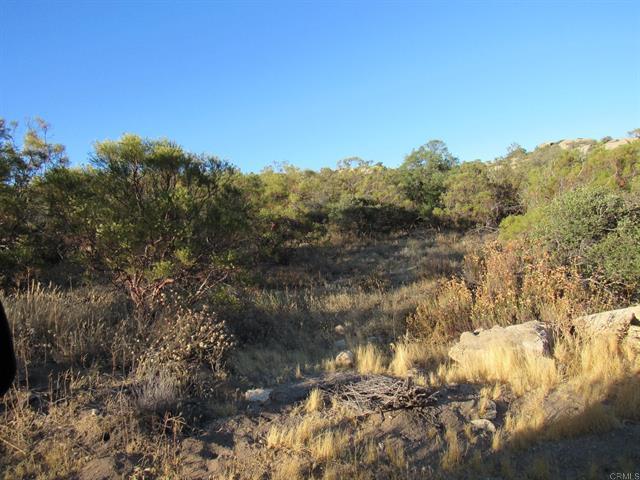 29.77 ACRES Old Highway 80