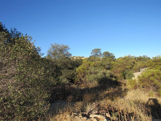29.77 ACRES Old Highway 80
