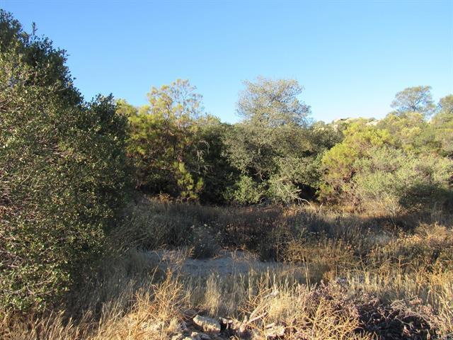 29.77 ACRES Old Highway 80