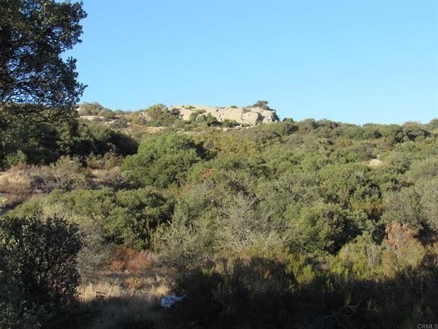 29.77 ACRES Old Highway 80