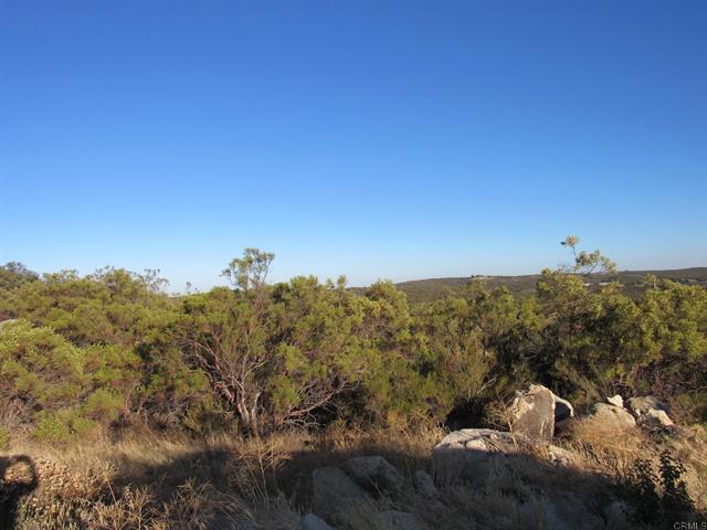 29.77 ACRES Old Highway 80