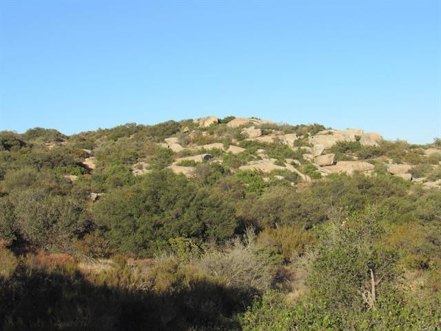 Leoney Court
